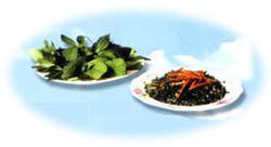 探寻自然之味 浙江衢县明果野生食品厂的苦野菜与土特产
