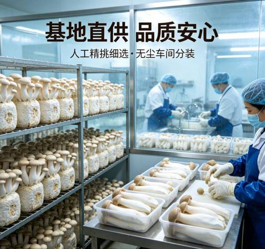 依托“利昌土特产”视角看东北菌菇产业的发展特点
